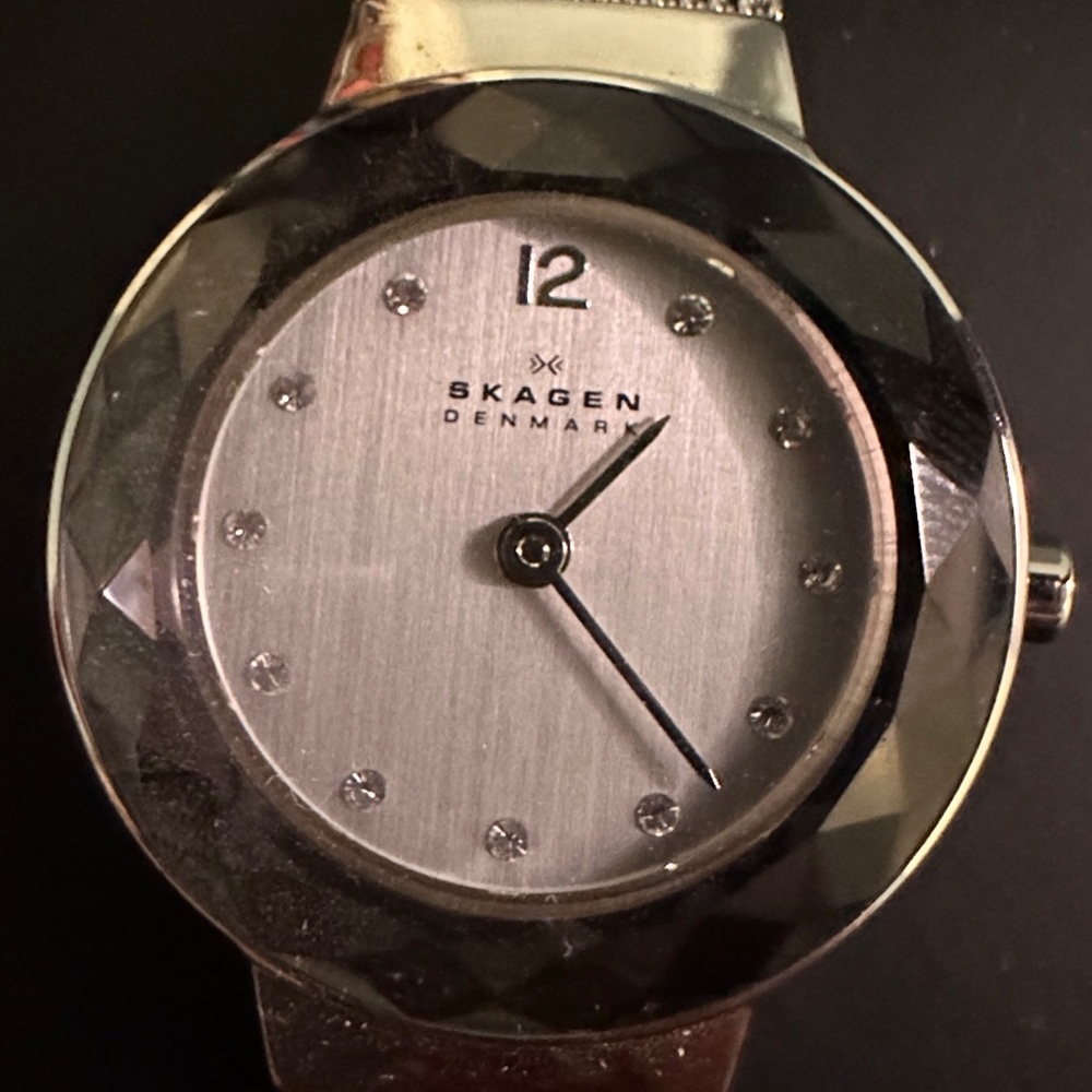 Skagen Watch